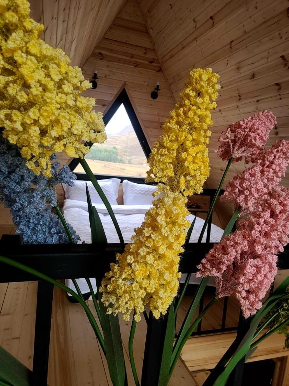 Mtisguli Cottages كازباجي المظهر الخارجي الصورة