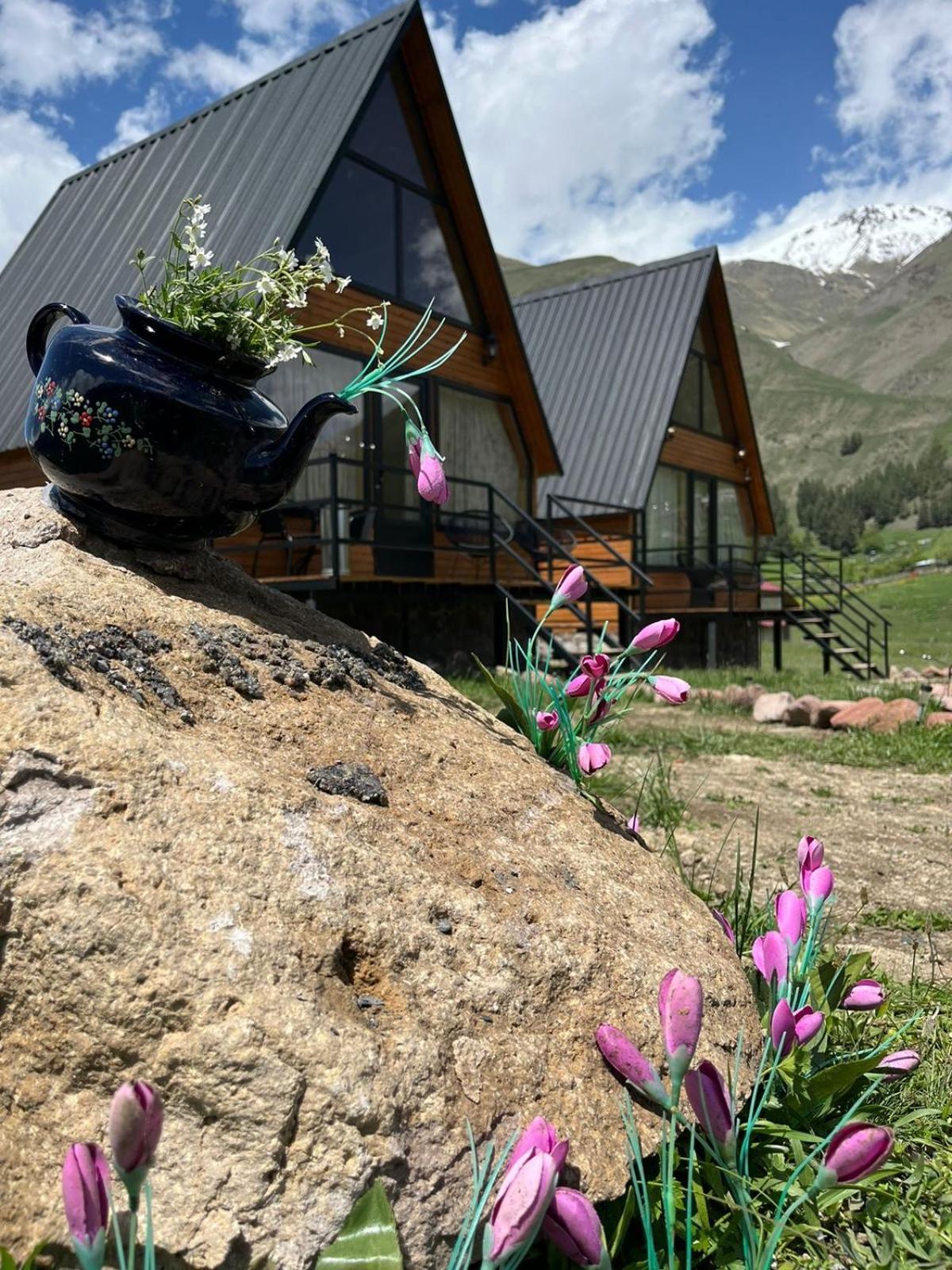 Mtisguli Cottages كازباجي المظهر الخارجي الصورة