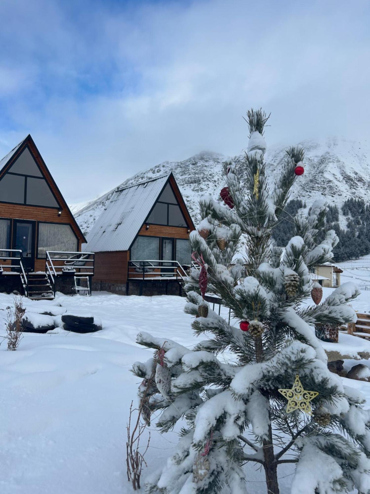 Mtisguli Cottages كازباجي المظهر الخارجي الصورة