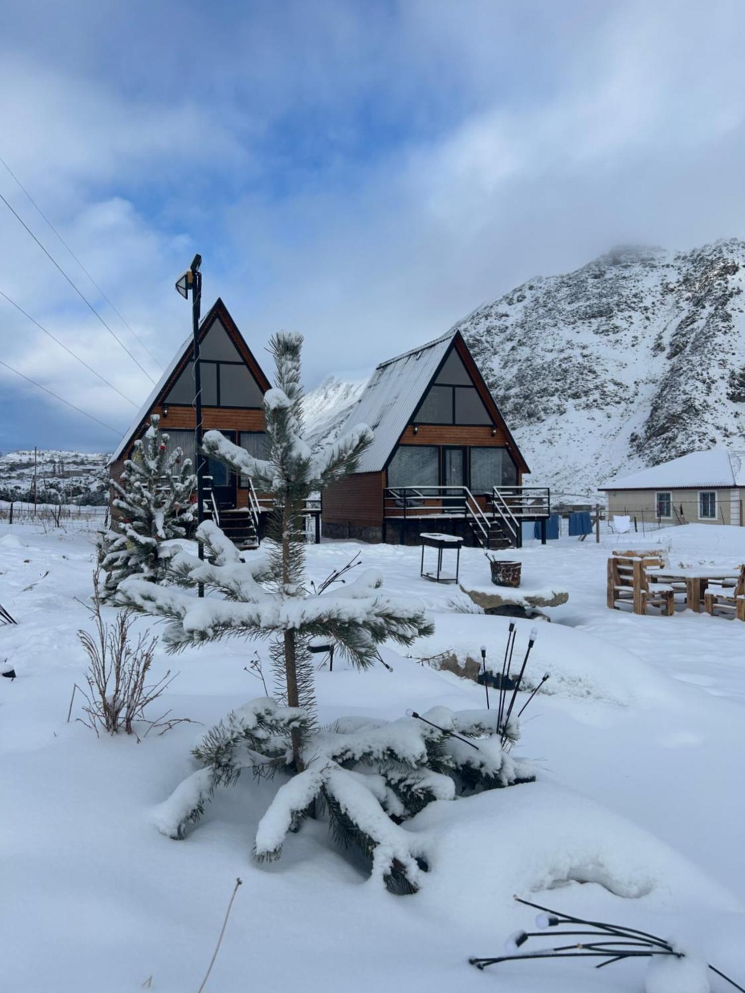 Mtisguli Cottages كازباجي المظهر الخارجي الصورة